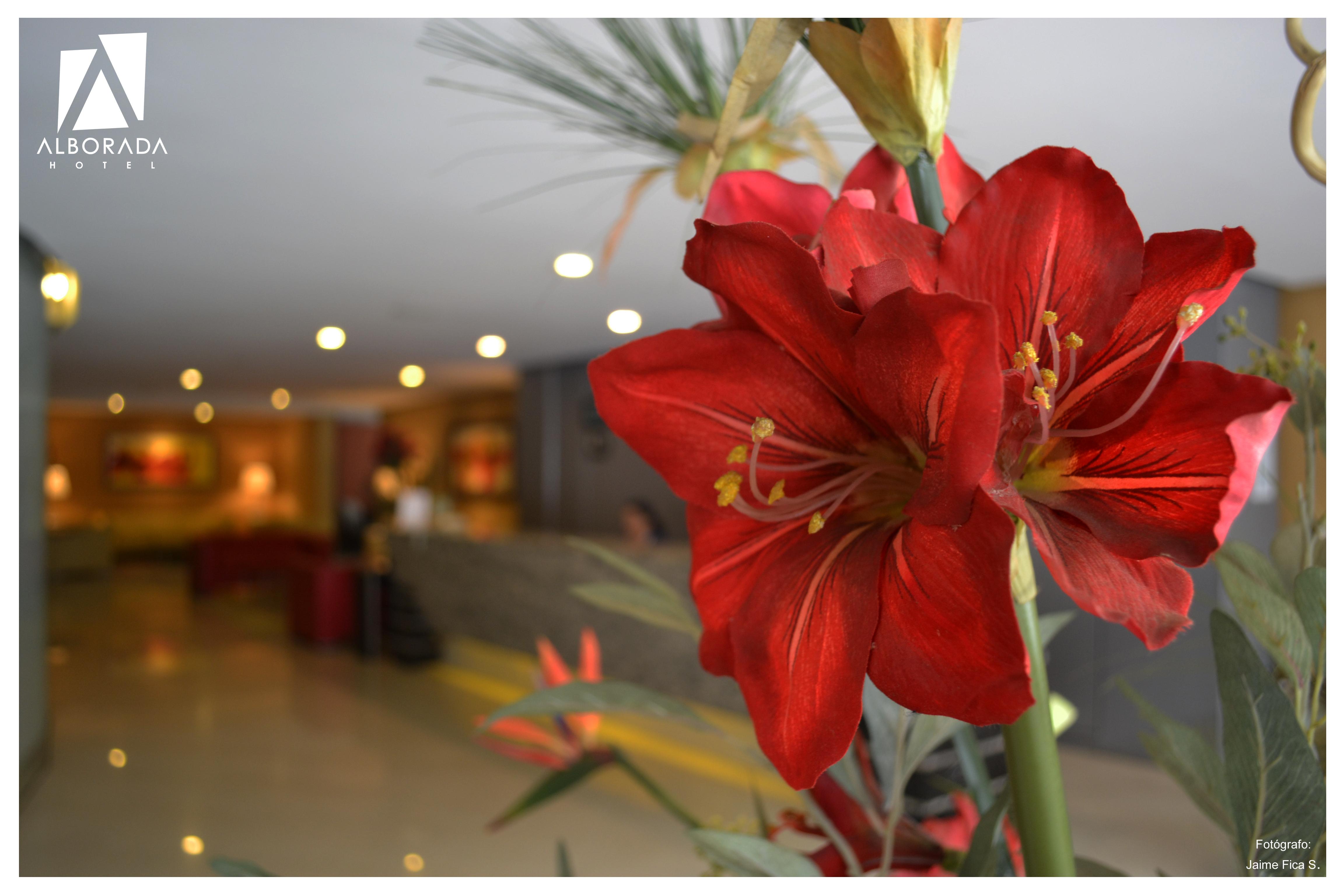 Hotel Alborada Concepcion Ngoại thất bức ảnh